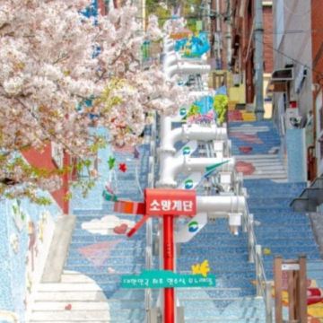 釜山地道韓食6天之旅 ※【BlueRibbon推介餐廳】風川灣烤鰻魚;活鮑魚海鮮辛辣麵+韓式海膽一口紫菜飯捲;海鮮烤貝料理;釜山名物：豚肉湯飯 ; 機張名物:松葉蟹料理;【藍絲帶認證食府】釜山豬手料理