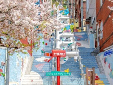 釜山地道韓食6天之旅 ※【BlueRibbon推介餐廳】風川灣烤鰻魚;活鮑魚海鮮辛辣麵+韓式海膽一口紫菜飯捲;海鮮烤貝料理;釜山名物：豚肉湯飯 ; 機張名物:松葉蟹料理;【藍絲帶認證食府】釜山豬手料理