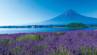 東京、茨城、河口湖 夏日5天賞景之旅  富士山五合目、「世界三大高佛像」牛久大佛、大洗磯前神社、絕美海上鳥居~神磯之鳥居、成田山新勝寺、1晚溫泉酒店