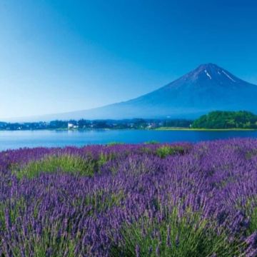 東京、茨城、河口湖 夏日5天賞景之旅  富士山五合目、「世界三大高佛像」牛久大佛、大洗磯前神社、絕美海上鳥居~神磯之鳥居、成田山新勝寺、1晚溫泉酒店