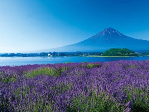 東京、茨城、河口湖 夏日5天賞景之旅  富士山五合目、「世界三大高佛像」牛久大佛、大洗磯前神社、絕美海上鳥居~神磯之鳥居、成田山新勝寺、1晚溫泉酒店