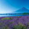 東京、茨城、河口湖 夏日5天賞景之旅  富士山五合目、「世界三大高佛像」牛久大佛、大洗磯前神社、絕美海上鳥居~神磯之鳥居、成田山新勝寺、1晚溫泉酒店