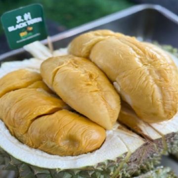 【3鑽】《季節限定》吉隆坡+馬六甲+雲頂 悠閒 榴槤任食5天團 ※【黄金棕櫊度假村餐廳】海上樓～川粵料理、【米芝蓮推介精選餐廳】蘇浙苑、有米氣【海鮮燜煲】