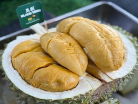 《季節限定 榴槤任食》吉隆坡+馬六甲+雲頂 悠閒 榴槤任食5天團 ※【黄金棕櫊度假村餐廳】海上樓～川粵料理、【米芝蓮推介精選餐廳】蘇浙苑、有米氣【海鮮燜煲】