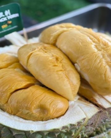 《季節限定 榴槤任食》吉隆坡+馬六甲+雲頂 悠閒 榴槤任食5天團 ※【黄金棕櫊度假村餐廳】海上樓～川粵料理、【米芝蓮推介精選餐廳】蘇浙苑、有米氣【海鮮燜煲】