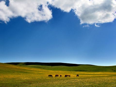 [北疆、獨庫公路11天] 東方瑞士風光~喀納斯、探秘圖瓦人村落~禾木、大自然鬼斧神工~魔鬼城、典型雅丹地貌~五彩灘、那拉提草原、闊克蘇大峽谷、賽里木湖、烏魯木齊、伊寧、獨庫公路一日體驗四季 純玩之旅