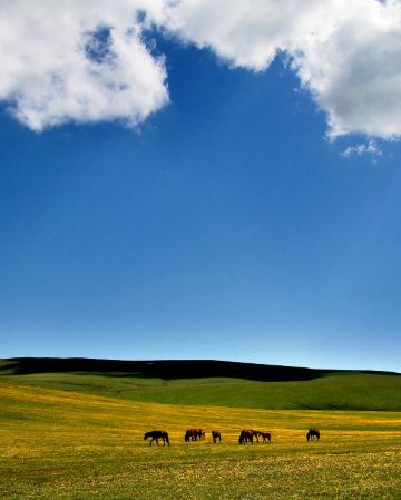[北疆、獨庫公路11天] 東方瑞士風光~喀納斯、探秘圖瓦人村落~禾木、大自然鬼斧神工~魔鬼城、典型雅丹地貌~五彩灘、那拉提草原、闊克蘇大峽谷、賽里木湖、烏魯木齊、伊寧、獨庫公路一日體驗四季 純玩之旅