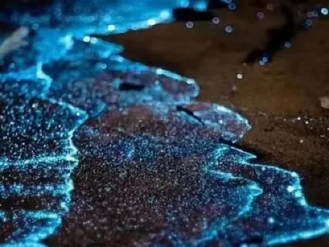 吉隆坡+雪蘭莪+馬六甲悠閒5天團 【永安獨家】人氣果園~ Orchard Hill、瓜拉雪蘭莪 (欣賞海洋奇觀【藍眼淚】及螢火蟲)