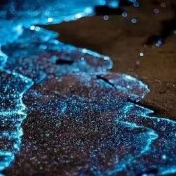 吉隆坡+雪蘭莪+馬六甲悠閒5天團 【永安獨家】人氣果園~ Orchard Hill、瓜拉雪蘭莪 (欣賞海洋奇觀【藍眼淚】及螢火蟲)