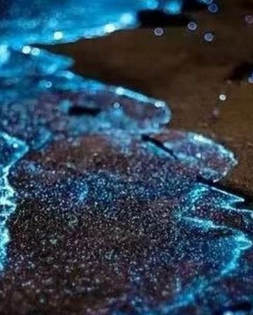 吉隆坡+雪蘭莪+馬六甲悠閒5天團 【永安獨家】人氣果園~ Orchard Hill、瓜拉雪蘭莪 (欣賞海洋奇觀【藍眼淚】及螢火蟲)