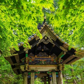 日光 世界遺產 《一日遊》   東照宮+中禪寺湖+華嚴瀑布+日光溫泉鄉  即報即成團 |  一人可出發 | 9人小團 免收旅行團服務費 | 全程無購物 