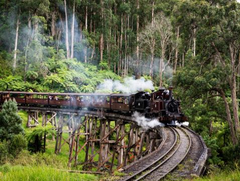 皇牌澳洲行程~ 悉尼、墨爾本雙城7天精選遊【尊享澳航貴賓室】- 包藍山觀景世界套票/悉尼歌劇院一小時導賞遊/探索舉世聞名的十二門徒石/普芬古董蒸氣火車/夜觀神仙企鵝回巢/海鮮天堂~全新悉尼漁人碼頭