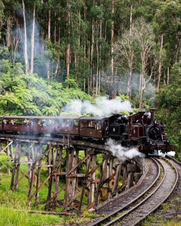 皇牌澳洲行程~ 悉尼、墨爾本雙城7天精選遊【尊享澳航貴賓室】- 包藍山觀景世界套票/悉尼歌劇院一小時導賞遊/探索舉世聞名的十二門徒石/普芬古董蒸氣火車/夜觀神仙企鵝回巢/海鮮天堂~全新悉尼漁人碼頭