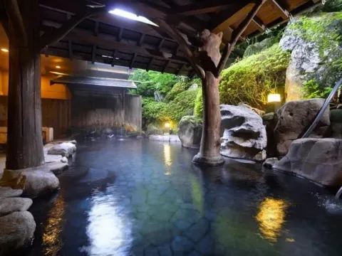 九重悠悠亭溫泉酒店