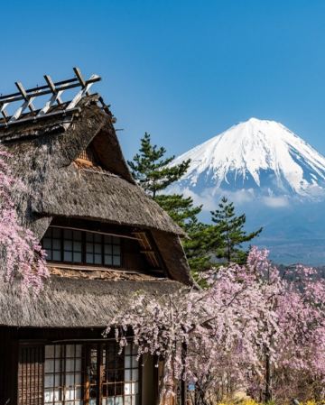 東京、春の富士山 賞櫻購物6天之旅 「千葉三大名山」鋸山(包乘登山纜車)、賞櫻名所(山中湖花之都公園~清流之里、成田山新勝寺)