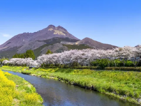 九州の春 6天賞花溫泉之旅  賞櫻名所(熊本城、水前寺公園)、御船山樂園 ~櫻花祭/春の花祭( 杜鵑花、大紫籐花)、由布院溫泉街(櫻花及油菜花)、金鱗湖、久住花公園 《 4月1日起出發適用》