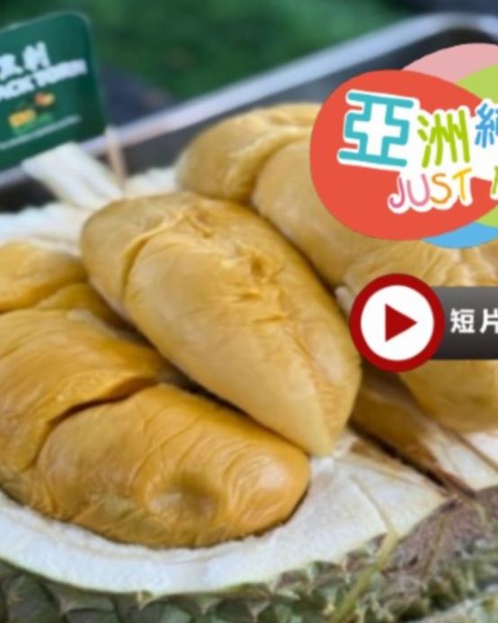 《季節限定 榴槤任食》吉隆坡+馬六甲+雲頂 悠閒 榴槤任食5天團 ※【黄金棕櫊度假村餐廳】海上樓～川粵料理、【米芝蓮推介精選餐廳】蘇浙苑、有米氣【海鮮燜煲】