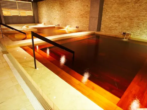 【南方莊園渡假飯店】亞式-大眾湯池