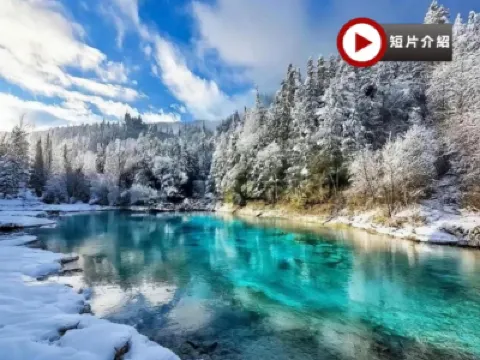 《皇牌‧九寨溝‧黃龍》邂逅童話世界~九寨溝(包景區獨立環保車)、人間瑤池~黃龍、成都大熊貓繁育研究基地(觀賞國寶熊貓)、錦里、寬窄巷子、尊貴提升1晚成都瑞吉酒店6天豪華團 《皇牌‧九寨溝‧黃龍》邂逅童話世界~九寨溝(包景區獨立環保車)、人間瑤池~黃龍、成都大熊貓繁育研究基地(觀賞國寶熊貓)、錦里、寬窄巷子、尊貴提升1晚成都瑞吉酒店6天豪華團