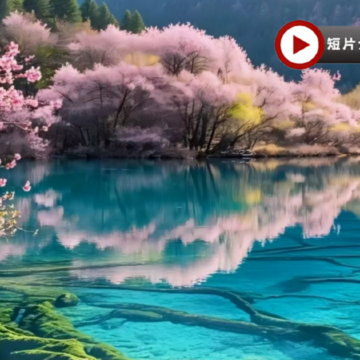 四川尋花記‧九寨溝【桃花】、牟尼溝、金川【梨花節】、四姑娘山【賞高山杜鵑】、臥龍國家級自然保護區【中華大熊貓苑】、成都【寬窄巷子、錦里】8天之旅