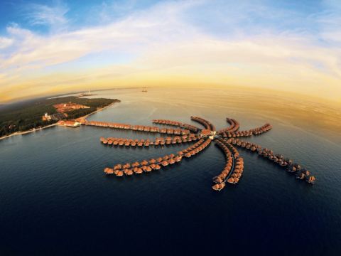 Golden Palm Tree Sepang 黃金棕櫊度假村