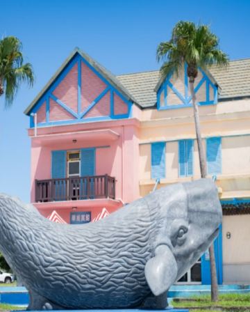 高雄+墾丁+台東 花蓮重本安排乘船觀賞野生鯨魚和海豚5天 東線之旅《🐰復活節出發🐰 : 4月4日🐰》*再減-$200 春日復活祭推廣碼【MA333】