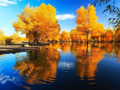 內蒙古🍂金秋夢幻胡楊林、探秘黑水城、穿越地球之心、鄂爾多斯草原9天團
額濟納旗🍂金色森林~胡楊林、遊覽一至八道橋、居延海、怪樹林海、四驅車三湖穿越、鄂爾多斯草原(篝火晚會) 內蒙古🍂金秋夢幻胡楊林、探秘黑水城、穿越地球之心、鄂爾多斯草原9天團
額濟納旗🍂金色森林~胡楊林、遊覽一至八道橋、居延海、怪樹林海、四驅車三湖穿越、鄂爾多斯草原(篝火晚會)