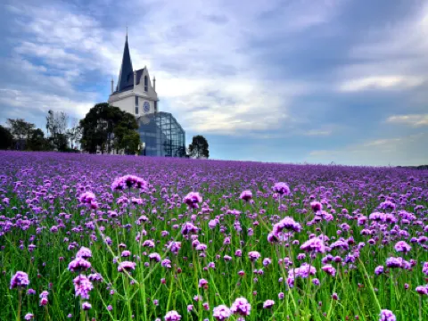 江城武漢 5天純玩高鐵團   黃鶴樓、東湖風景區、雲夢祥雲灣、花博匯、非遺打鐵花表演、武漢江灘夜景、古德寺、光谷空軌、長江輪渡賞日落、品嚐蔡林記過早九宮格、漢口喜來登酒店海鮮自助晚餐