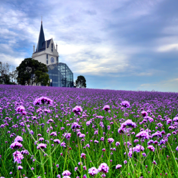 江城武漢 5天純玩高鐵團   黃鶴樓、東湖風景區、雲夢祥雲灣、花博匯、非遺打鐵花表演、武漢江灘夜景、古德寺、光谷空軌、長江輪渡賞日落、品嚐蔡林記過早九宮格、漢口喜來登酒店海鮮自助晚餐