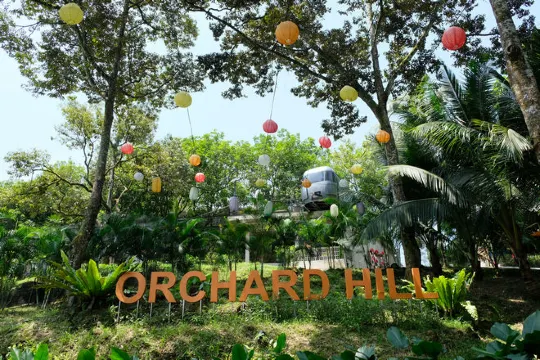 Orchard Hil 
