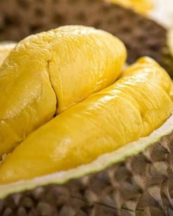 檳城+太平+怡保 榴槤任食6天之旅《季節限定 榴槤任食》8321榴槤園檳城山中果王 、 螃蟹兩味海鮮餐（每人一隻螃蟹及清蒸海蝦）、乘船夜觀螢火蟲