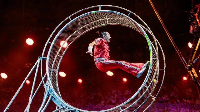 「廣州長隆國際大馬戲」