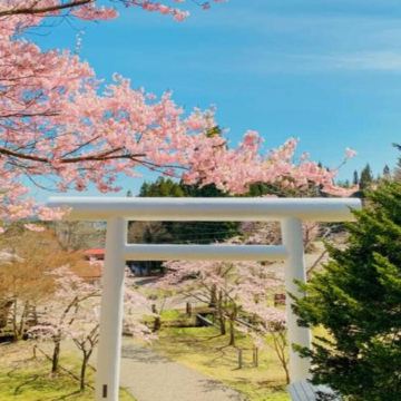 青森、岩手 春の物語7天溫泉之旅~「賞櫻名所百選」(弘前城)、「賞櫻名所」(會津鶴城、土津神社、青葉城遺址、成田山新勝寺)、「米芝蓮2星級」奧入瀨溪流、「日本第一美溪」嚴美溪