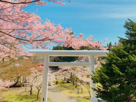 青森、岩手 春の物語7天溫泉之旅~「賞櫻名所百選」(弘前城)、「賞櫻名所」(會津鶴城、土津神社、青葉城遺址、成田山新勝寺)、「米芝蓮2星級」奧入瀨溪流、「日本第一美溪」嚴美溪