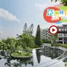高雄+小琉球+阿里山+嘉義5天【純玩團】《獨家》高雄花季溫泉飯店、阿里山、奮起湖老街、SKMPark Outlet、哈瑪星鐵道