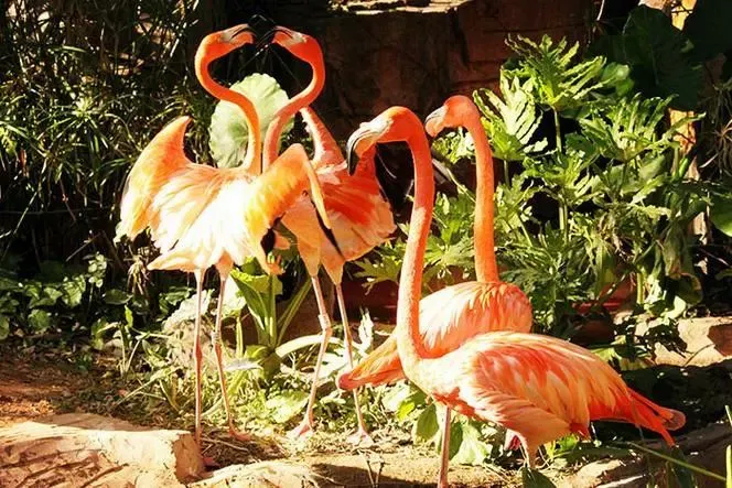 長鹿旅遊休博園