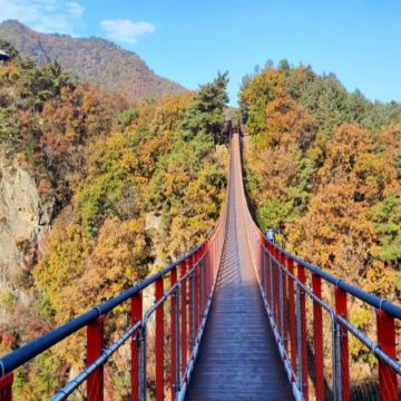 京畿道+首爾 5天遊玩之旅  ※「DMZ非武裝地帶」、紺嶽山吊索橋、首爾林公園、恩平韓屋村、聖水洞新地標「HAUS NOWHERE Seoul」&「Blue Elephant 旗艦店」、弘大購物區