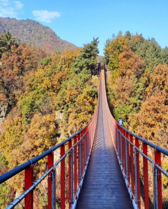 京畿道+首爾 5天遊玩之旅  ※「DMZ非武裝地帶」、紺嶽山吊索橋、首爾林公園、恩平韓屋村、聖水洞新地標「HAUS NOWHERE Seoul」&「Blue Elephant 旗艦店」、弘大購物區