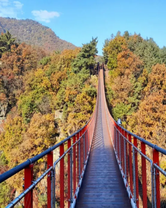 京畿道+首爾 5天遊玩之旅 ※「DMZ非武裝地帶」、紺嶽山吊索橋、首爾林公園、恩平韓屋村、聖水洞新地標「HAUS NOWHERE Seoul」&「Blue Elephant 旗艦店」、弘大購物區