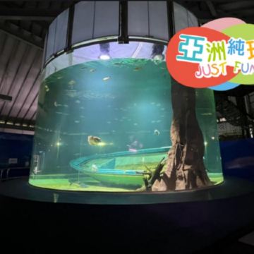 亞洲最富裕國家~汶萊 休閒純玩4天團【水晶公園、傑米清真寺、蘇丹皇宮、汶萊傳統水鄉+品嚐地道糕點、蘇丹登基銀禧紀念館、加東夜市、奧瑪阿里第28任國王清真寺】