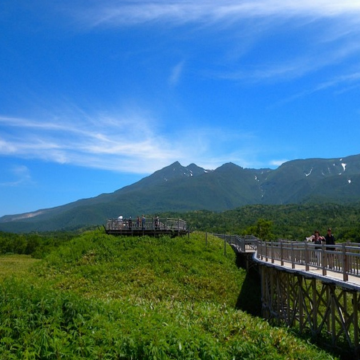 北海道【知床、紋別、富良野】繽紛夏日7天之旅  「世界自然遺產」知床半島(知床瀑布、知床五湖~高架木道橋散策)、富良野~富田花園、美瑛の青池、美瑛~四季彩の丘(包乘坐四季彩Norocco號觀光車)