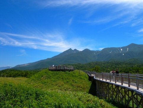 北海道【知床、紋別、富良野】繽紛夏日7天之旅  「世界自然遺產」知床半島(知床瀑布、知床五湖~高架木道橋散策)、富良野~富田花園、美瑛の青池、美瑛~四季彩の丘(包乘坐四季彩Norocco號觀光車)