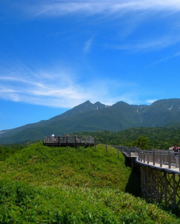 北海道【知床、紋別、富良野】繽紛夏日7天之旅  「世界自然遺產」知床半島(知床瀑布、知床五湖~高架木道橋散策)、富良野~富田花園、美瑛の青池、美瑛~四季彩の丘(包乘坐四季彩Norocco號觀光車)