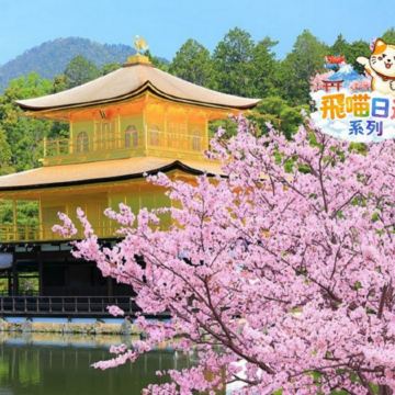 京都 《一日遊》 嵐山(竹林小徑+渡月橋)+ 金閣寺/哲學之道+ 清水寺+伏見稻荷大社  即報即成團 |  一人可出發 | 9人小團 |免收旅行團服務費 | 全程無購物