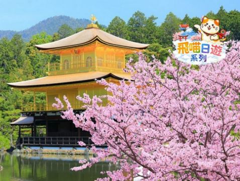 京都 《一日遊》 嵐山(竹林小徑+渡月橋)+ 金閣寺/哲學之道+ 清水寺+伏見稻荷大社  即報即成團 |  一人可出發 | 9人小團 |免收旅行團服務費 | 全程無購物