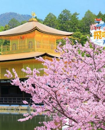 京都 《一日遊》 嵐山(竹林小徑+渡月橋)+ 金閣寺/哲學之道+ 清水寺+伏見稻荷大社  即報即成團 |  一人可出發 | 9人小團 |免收旅行團服務費 | 全程無購物