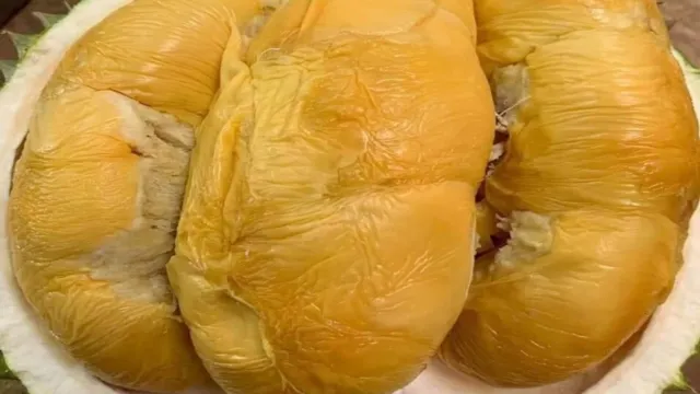 紅園(365檳城榴槤園)