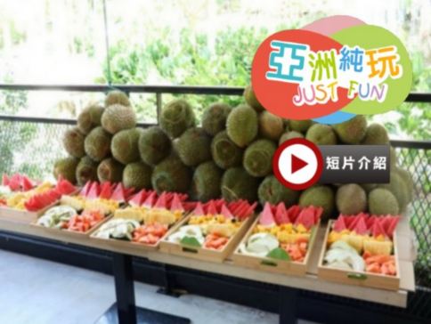 《永安獨家果園》【季節限定㊣榴槤任食】吉隆坡《入住國際品牌五星級~文華東方酒店Mandarin Oriental 》+馬六甲Courtyard by Marriott Melaka 純玩榴槤美食5天團