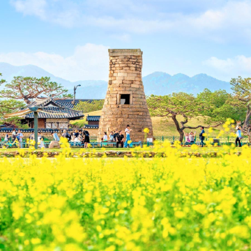 慶尚道+釜山5天花漾之旅 【春日賞花】普門湖觀光園地、瞻星台~大陵苑~東宮與月池、溫泉川市民公園、海雲台迎月路、大渚生態公園、海雲台RiverCruise、松島海上天空步道+纜車+龍宮雲橋