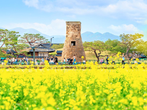 慶尚道+釜山5天花漾之旅 【春日賞花】普門湖觀光園地、瞻星台~大陵苑~東宮與月池、溫泉川市民公園、海雲台迎月路、大渚生態公園、海雲台RiverCruise、松島海上天空步道+纜車+龍宮雲橋